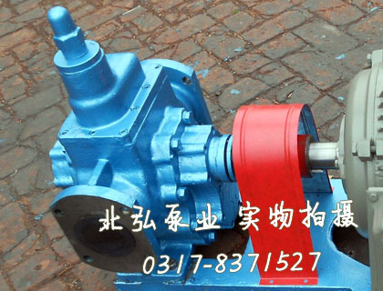 KCG-38/0.6高溫齒輪泵整機