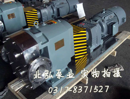 FXA不銹鋼外潤(rùn)滑泵